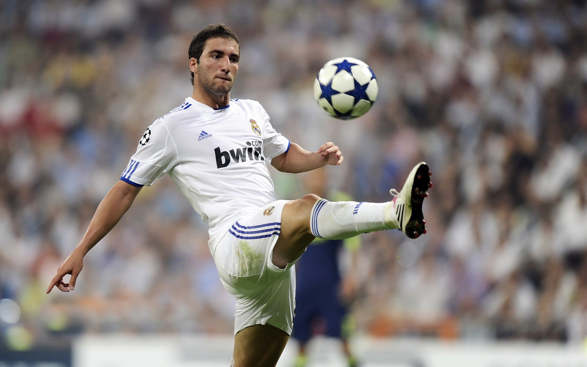 Aster与其他战队激烈对抗，aster战队队员